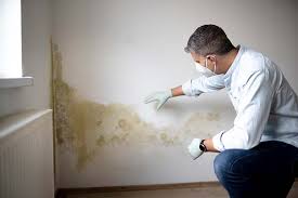 Best Emergency Mold Remediation  in Gurdon, AR